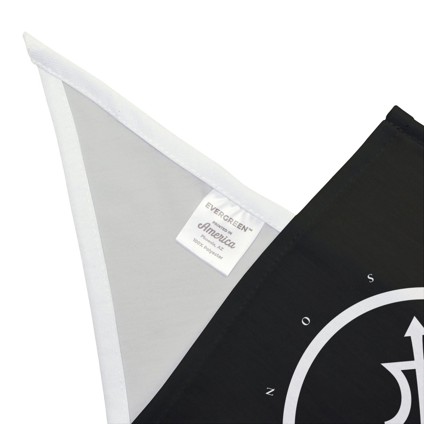 RW Glyph Pet Bandana